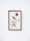 Bird and Flower Wall Decor