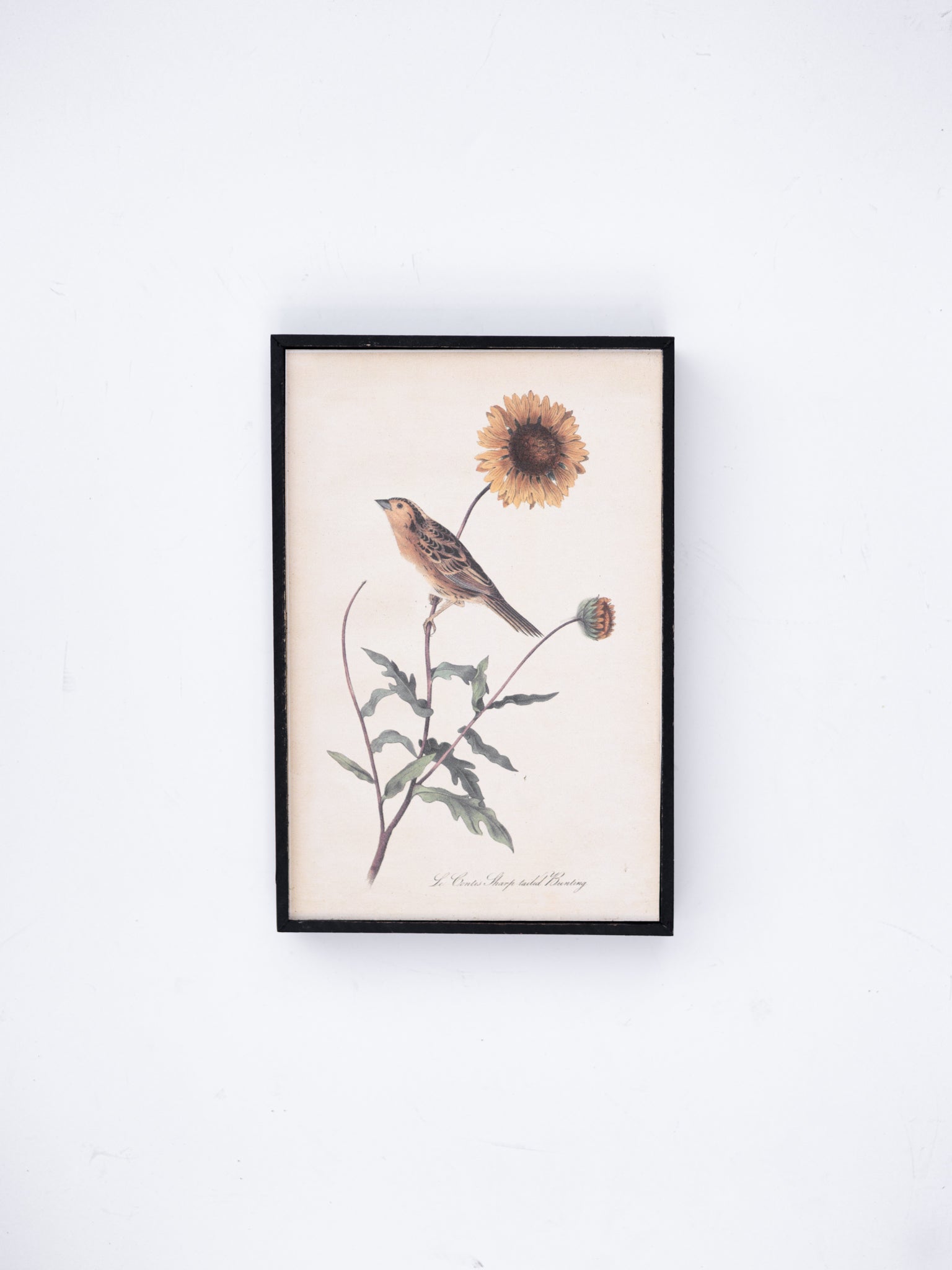 Bird and Flower Wall Decor