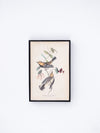 Bird and Flower Wall Decor