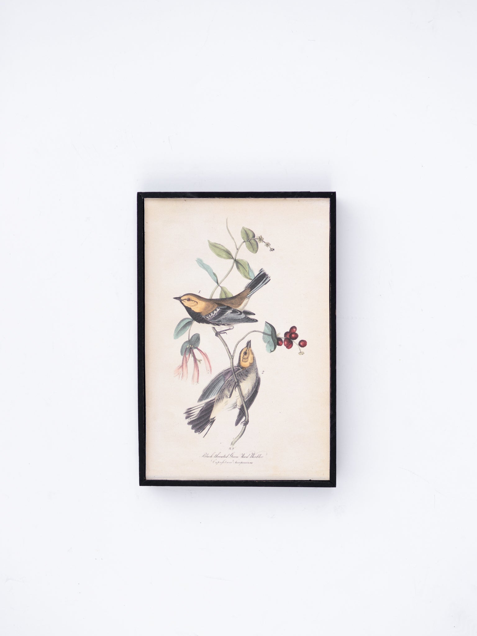 Bird and Flower Wall Decor