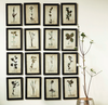 Framed Wall Decor with Floral Art