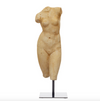 Female Body Figure
