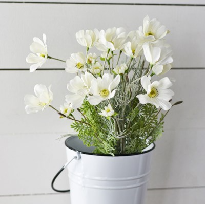 White Coreopsis Bunch