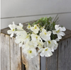 White Coreopsis Bunch