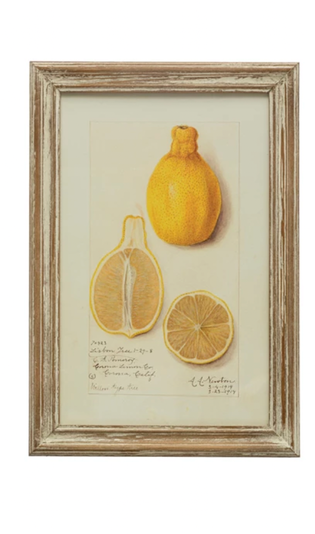 Lemon Print