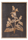 Botanical Print Wall Art