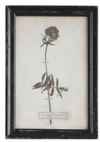 Framed Wall Decor with Floral Art