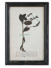 Framed Wall Decor with Floral Art