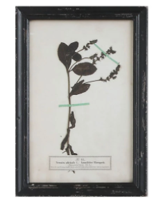 Framed Wall Decor with Floral Art