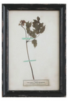 Framed Wall Decor with Floral Art