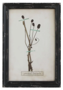 Framed Wall Decor with Floral Art