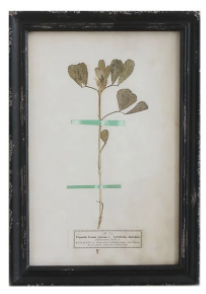 Framed Wall Decor with Floral Art