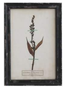 Framed Wall Decor with Floral Art