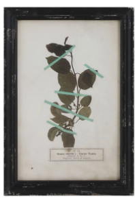 Framed Wall Decor with Floral Art