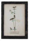 Framed Wall Decor with Floral Art