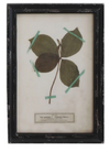 Framed Wall Decor with Floral Art