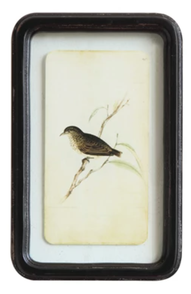 Bird Framed Print