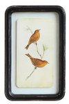 Bird Framed Print