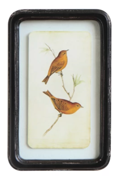 Bird Framed Print