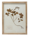 Framed Wall Decor w/ Botanicals