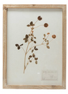 Framed Wall Decor w/ Botanicals