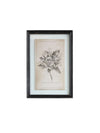 Floral Image in Wood Frame