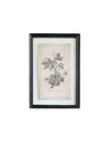 Floral Image in Wood Frame