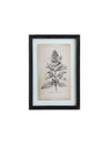 Floral Image in Wood Frame
