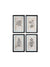 Floral Image in Wood Frame