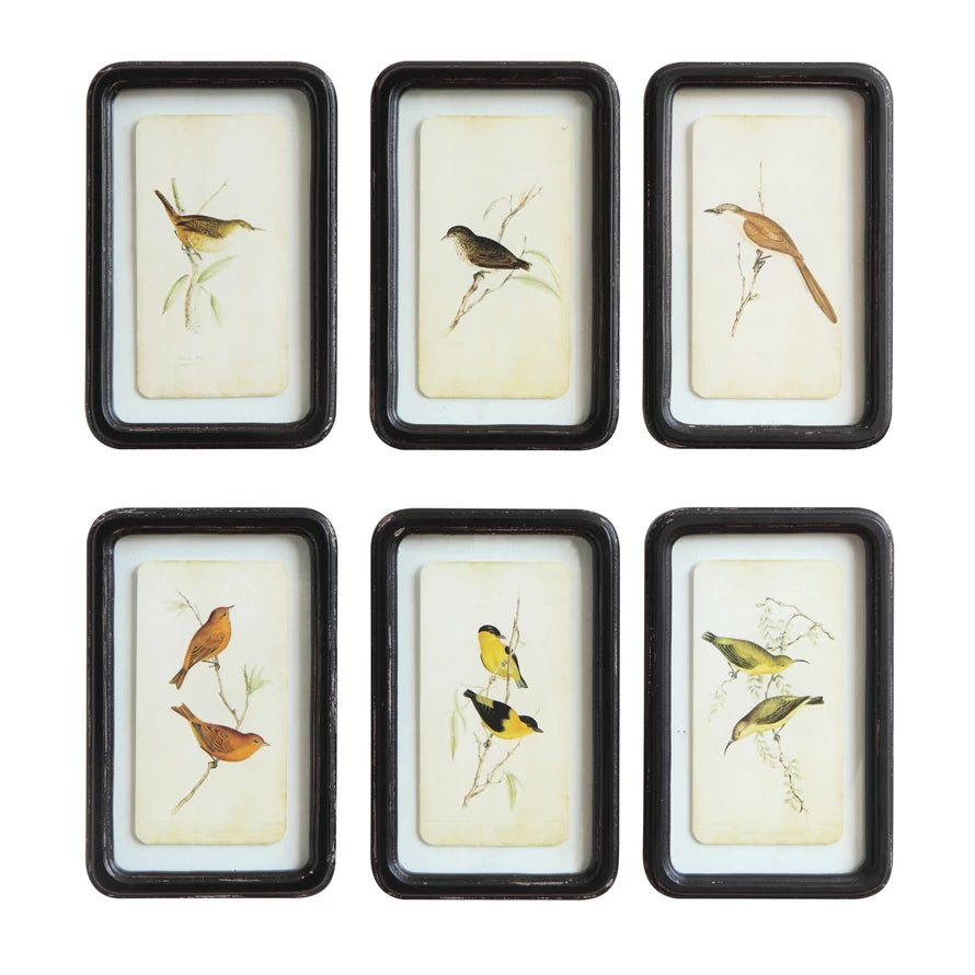 Bird Framed Print