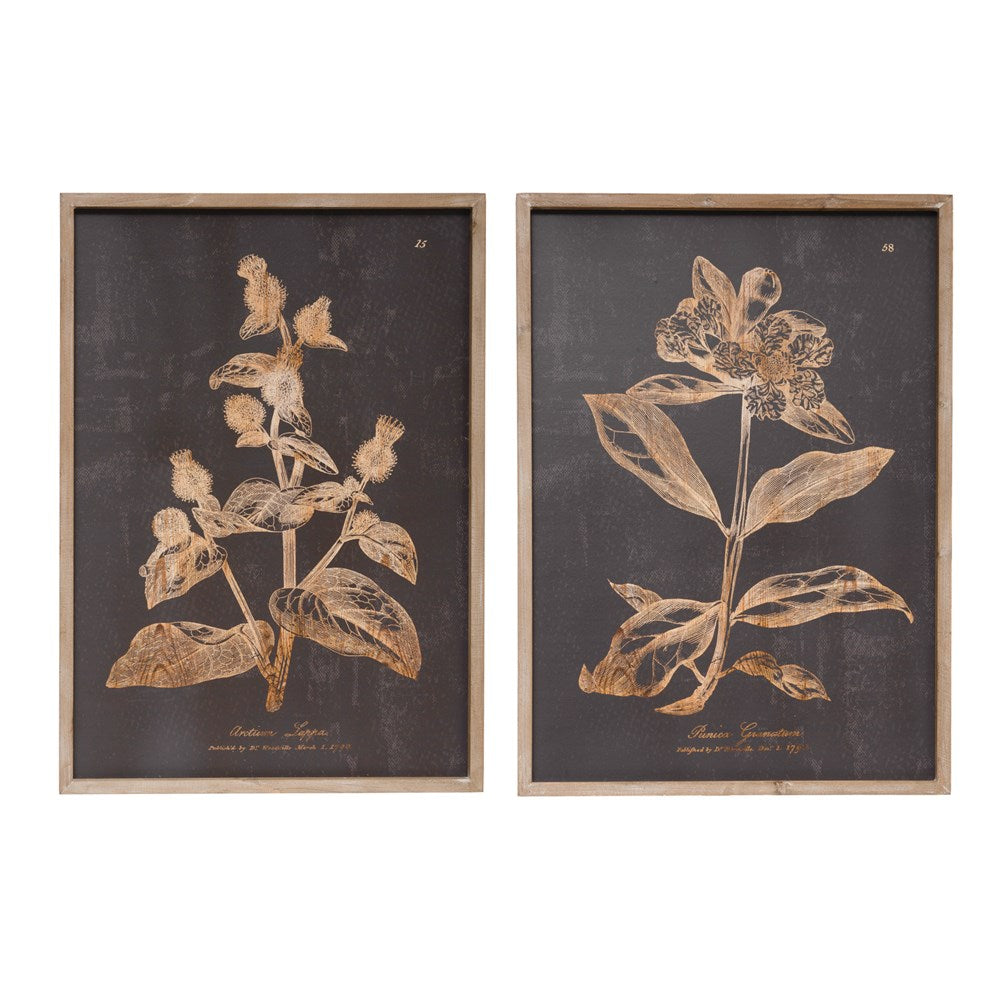 Botanical Print Wall Art