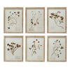 Framed Wall Decor w/ Botanicals