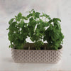 Hobnail Planter
